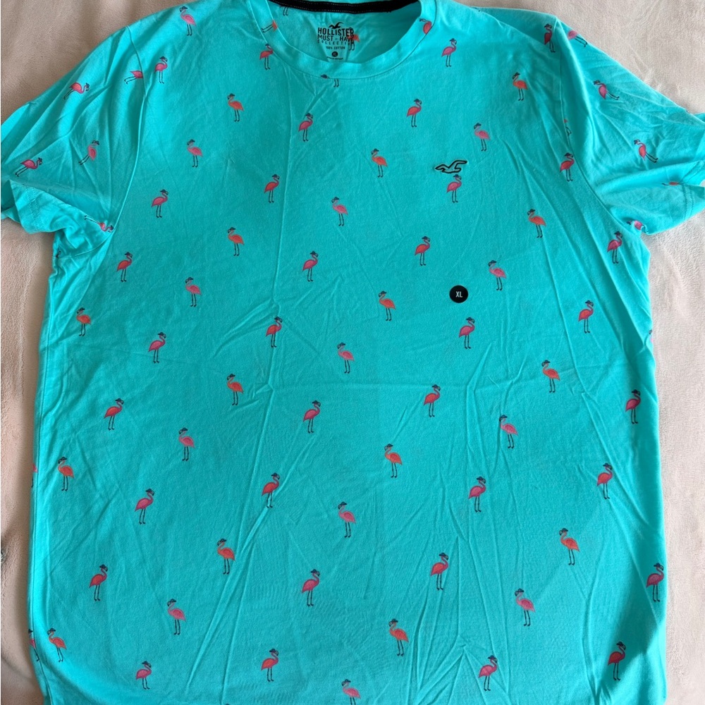 Hollister Teal Crewneck T-Shirt with Pink Flamingo Print